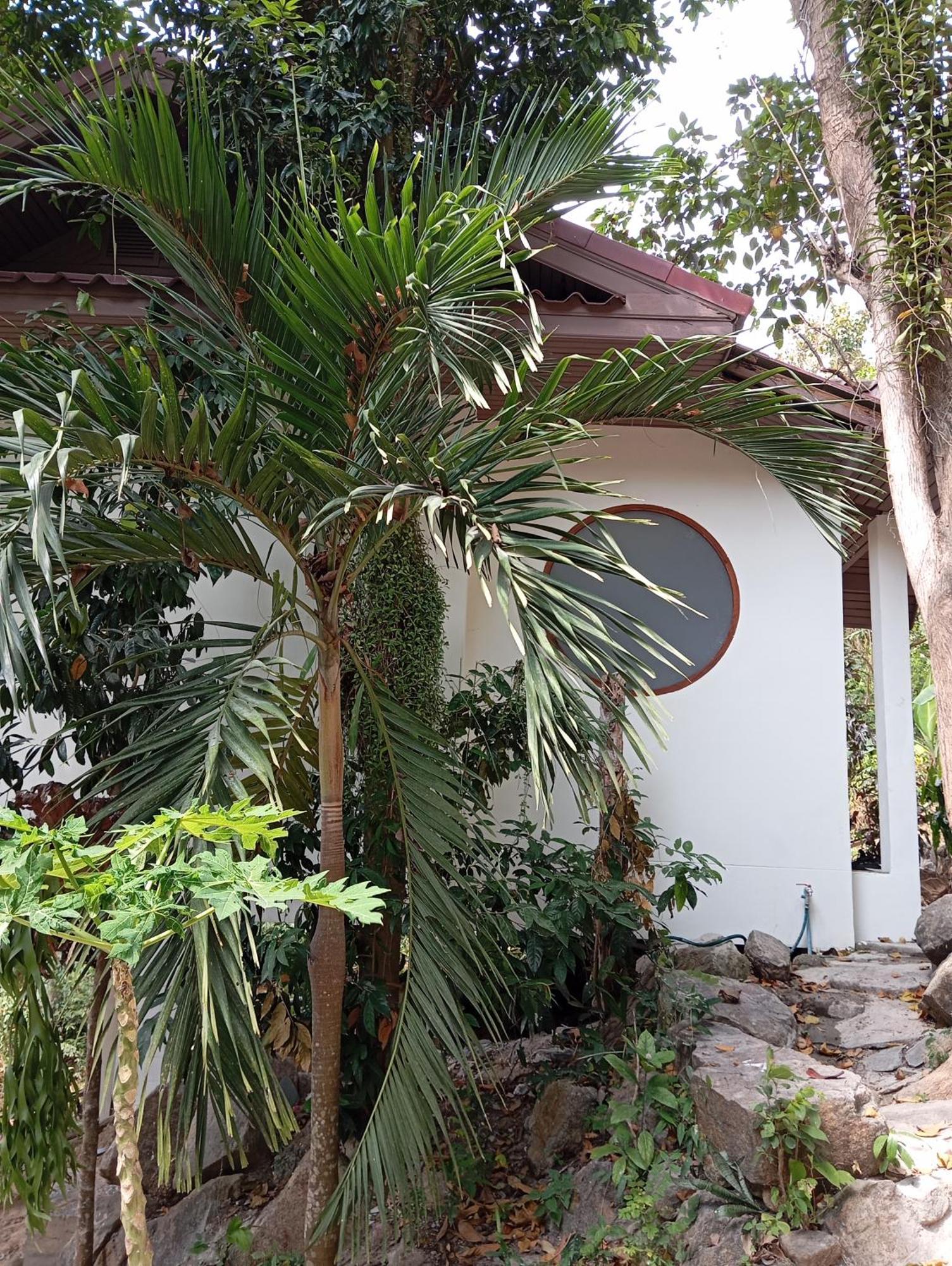 Crocus Garden Haad Yao Exterior foto
